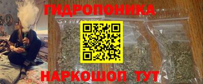 сатива Лесосибирск
