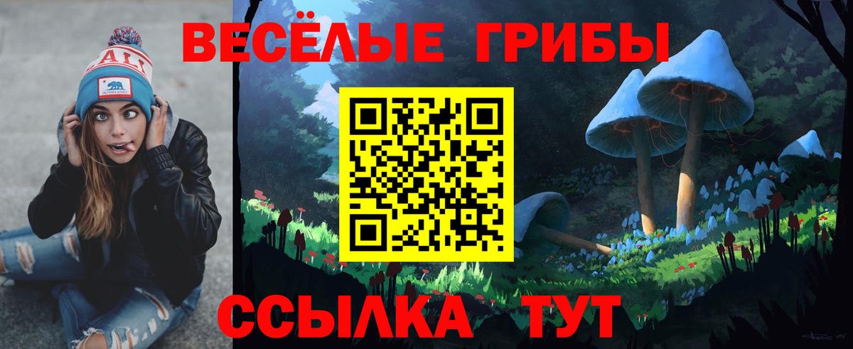 Галлюциногенные грибы MAGIC MUSHROOMS  Вход с VPN  Галлюциногенные грибы Cubensis  Горно-Алтайск 